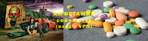 гидра Богородск