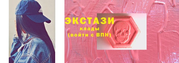 гидра Богородск