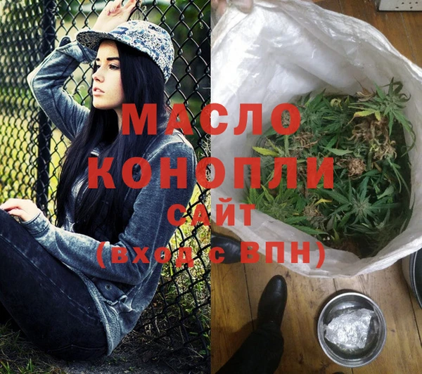 гидра Богородск