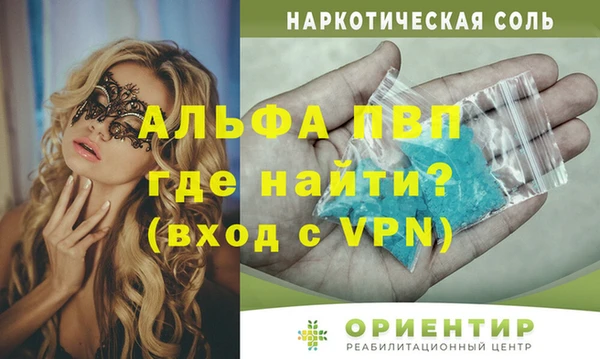 гидра Богородск