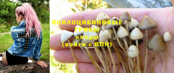 экстази Богданович