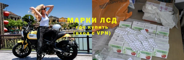 прущие крисы Тайга