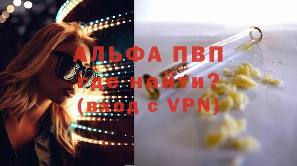 гидра Богородск