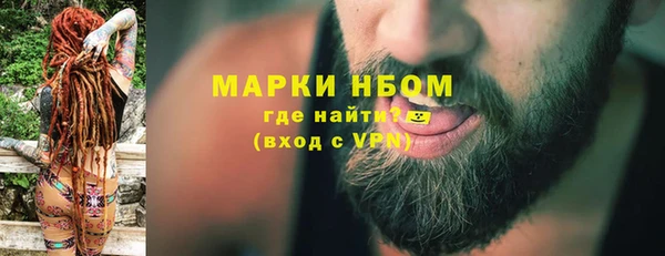 гидра Богородск