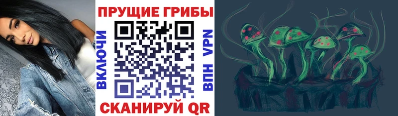 ссылка на мегу ONION  Донской  Галлюциногенные грибы Psilocybine cubensis  наркошоп 